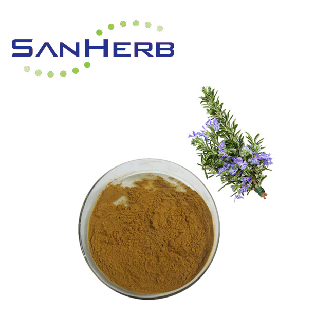 Natuurlijk Rosemary Extract Powder Rrom Rosemary Blad door