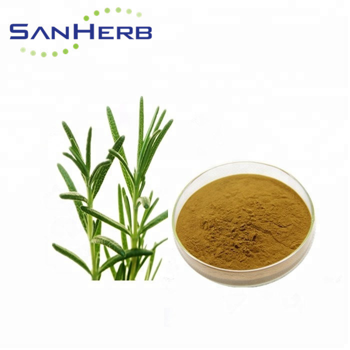 Geen Oplosbare Overblijvende Rosemary Extract Powder For Antioxidant HPLC Test