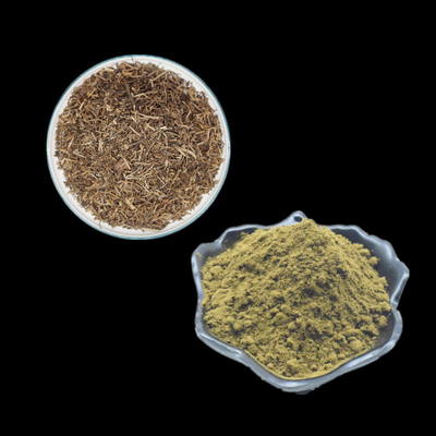 Het zuivere Gebruik van het het Uittreksel2% 10% Turkesterone Poeder van Ajuga Turkestanica voor Bodybuilding