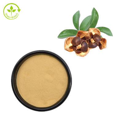 60% theesaponien Camellia Japonica Seed Extract Powder voor Voeradditief