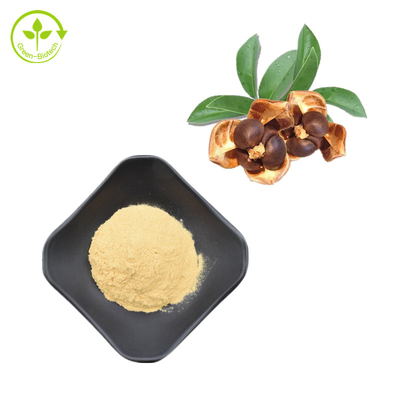 100% het natuurlijke Poeder van de Theesaponienen van Camellia Seed Extract 95%