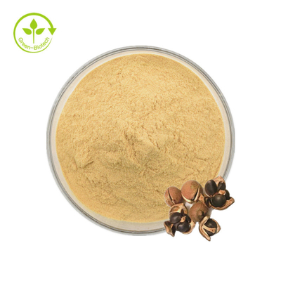 Natuurlijke de Theesaponien van Camellia Sinensis Seed Extract 98% voor Voedsel