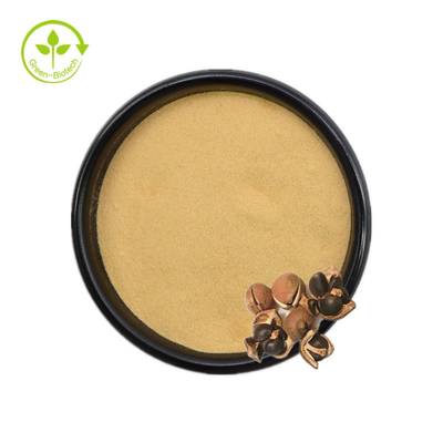 Camellia Sinensis Seed Extract Tea-Saponienpoeder 50% 60% 70% 80% 85% 90% 95% 98%