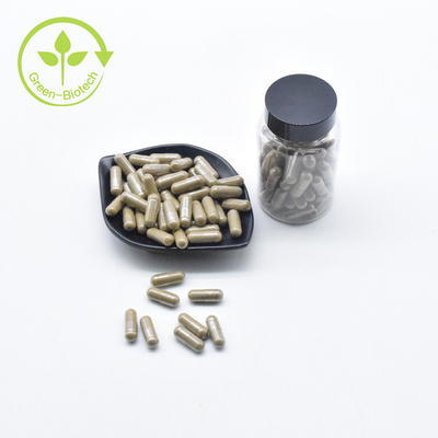 Van het het Poeder Privé Etiket van fabrieks de In het groot Zuivere Turkesterone 40% Capsules 500mg van Ajuga Turkesterone