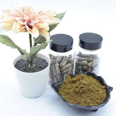 Capsules van het het Uittrekselpoeder 40% 500mg Turkesterone van supplement de Zuivere Ajuga Turkestanica