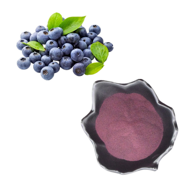 100% zuivere Concentraatvorst - de Bosbessenpoeder van Juice Powder Blueberry Extract Bulk van de droog Fruit Vers Bosbes