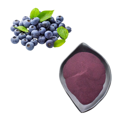 Natuurlijke bosbessenfruitsappoeder Anthocyanine 25%