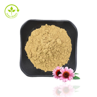 Natuurlijke polyfenolen 4% cichorinezuur 1% 4% Echinacea purpurea-extract