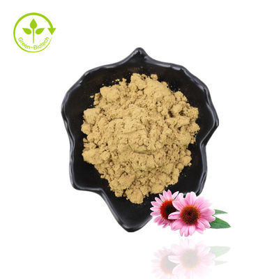 Natuurlijk Echinacea Purpurea-extract / Echinacea-extractpoeder