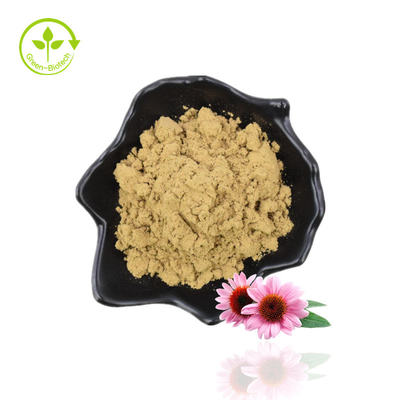 Fabricage Levering Echinacea Purpurea Chicoric Acid Echinacea Extract