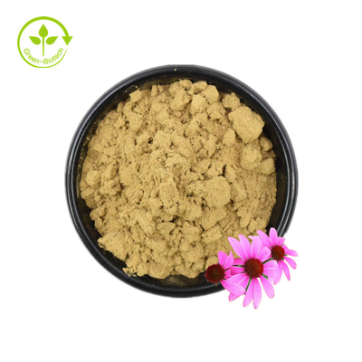 Iso-certificaat 100% natuurlijk Echinacea-extract Echinacea purpurea-extract 10% polyfenol