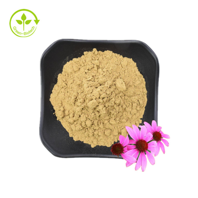 Hoogwaardige Echinacea Purpurea Wortel Extract 10% Polyfenolen Echinacea Purpurea Extract Echinacea Extract