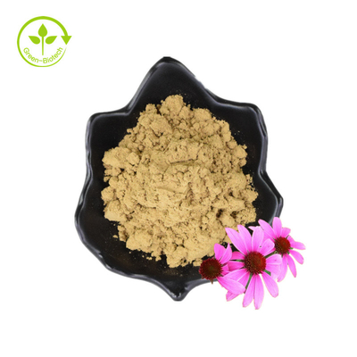 Organisch polyfenol gedroogd poeder Bloemzaden Echinacea Purpurea-extract
