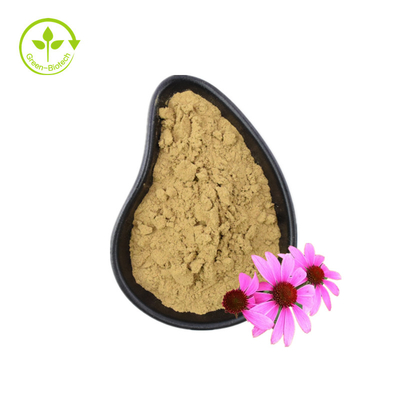 Biologisch Echinacea Purpurea Extract Echinacea wortel extract