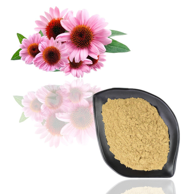 ISO-Polyphenol van het Certificaat100% Natuurlijke Echinacea Purpurea Uittreksel 10%
