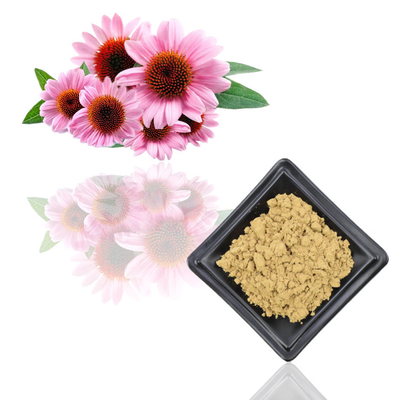 7% zuivere van het de Installatieuittreksel van Echinacea Purpurea het Poederpolyphenols Uittreksels