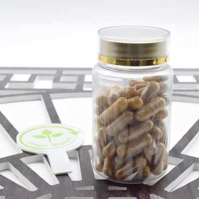 Fabrieksvoorziening Ginseng Root Powder Panax Ginseng Extract 20:1 Ginsenoside 80%