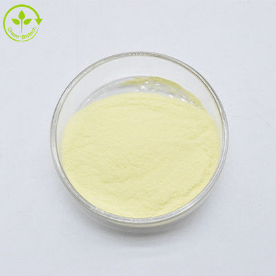 Topkwaliteit 100% zuivere kavalactonen 30% Kava wortel extract Kava extract