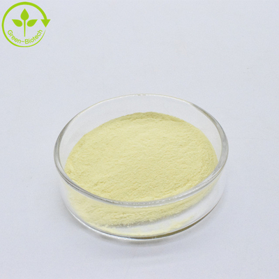 Geel fijn poeder Natuurlijke kava wortel extract 30% Kavalactonen Poeder kava extract