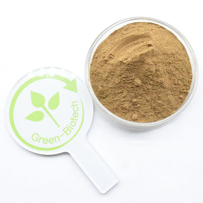 Dendrobinepoeder van natuurlijke Dendrobium-extract van hoge kwaliteit