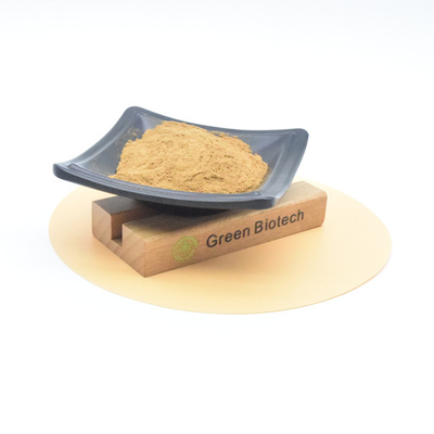 Natuurlijke plantenextracten Gezondheidszorg Warme verkoop Bulk Natuurlijke Maca Root Extract Poeder