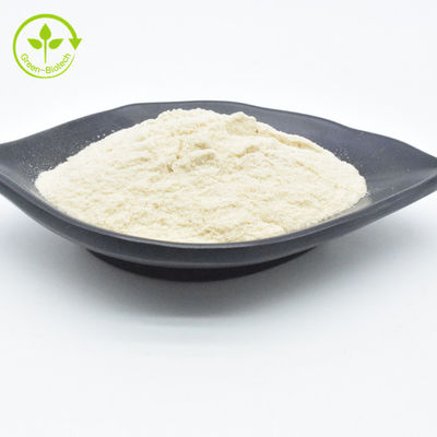 Natuurlijke plantaardige extracten Voorraad Wit knoflookpoeder Knoflook extract poeder Allicine 1%