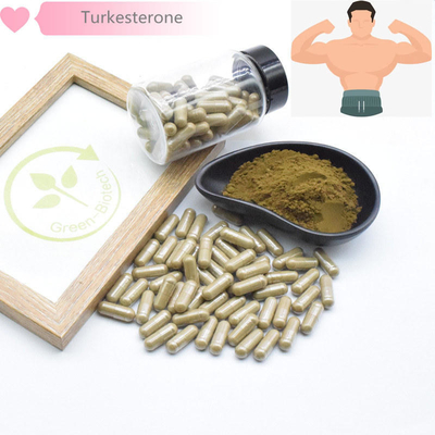 Natuurlijke de Installatieuittreksels van 500mg Turkestanica