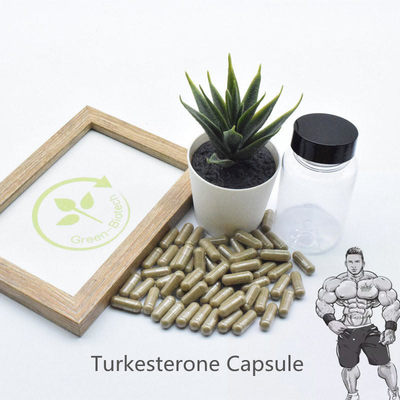 GMP Turkestanica Natuurlijke Installatieuittreksels