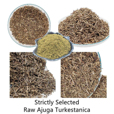 Natuurlijke de Installatieuittreksels van 500mg Turkestanica