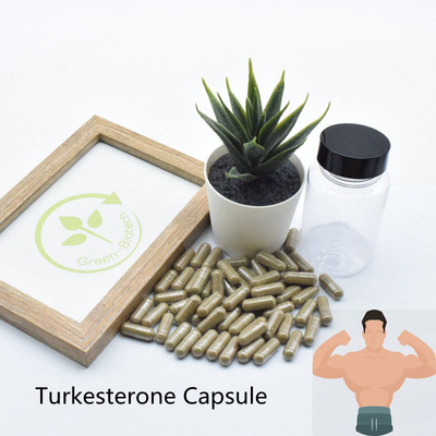 van de Supplementenecdysteroid van 2% 10% Ajuga Turkestanica Natuurlijke de Installatieuittreksels