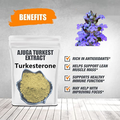 van de Supplementenecdysteroid van 2% 10% Ajuga Turkestanica Natuurlijke de Installatieuittreksels