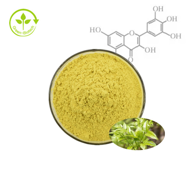 Bayberry Fruitschors Plantenextract Poeder Myricetin 98%