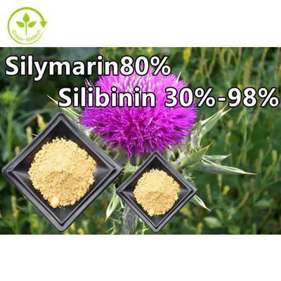 Mariadistel Plantenextract Poeder 80% Silymarine Food Grade