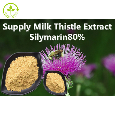 Mariadistel Plantenextract Poeder 80% Silymarine Food Grade