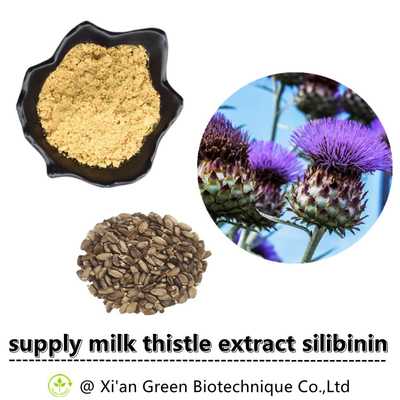 Mariadistel Plantenextract Poeder 80% Silymarine Food Grade