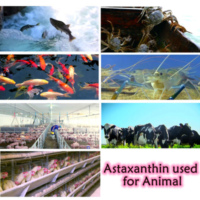 CAS 7542-45-2 1% - 10% Astaxanthine poeder voor gezonde zorg