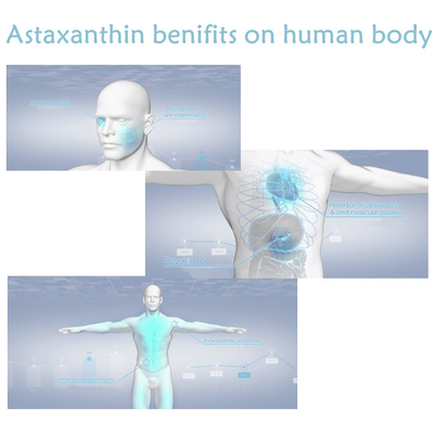 CAS 7542-45-2 1% - 10% Astaxanthine poeder voor gezonde zorg