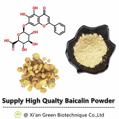 Het groene Biotech-Uittreksel Baicalin 80% 85% 90% 98% CAS nr van Baical Skullcap van de Leverings Hoge Zuiverheid.: 21967-41-9