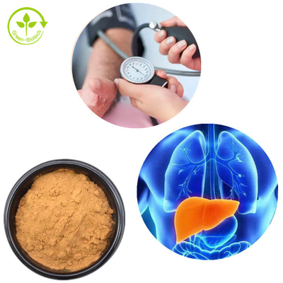 De Paddestoelpoeder 30% van leeuwenmane mycelium extract hericium erinaceus