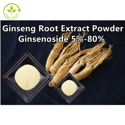 Kruiden het Uittrekselpoeder Ginsenoside 5% van de Ginsengwortel - 80%