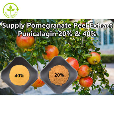 Het zuivere Natuurlijke Poeder Punicalagin CAS 65995-63-3 van het Granaatappeluittreksel