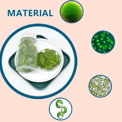 Het Ruwe Overzees Moss Gummies Dietary Supplement van het installatieuittreksel