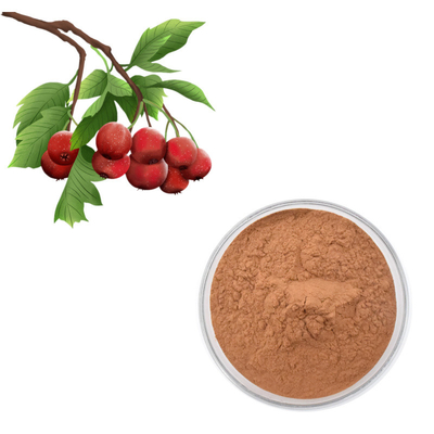Het Poedercrataegus van haagdoornberry extract flavones 80% Bladuittreksel