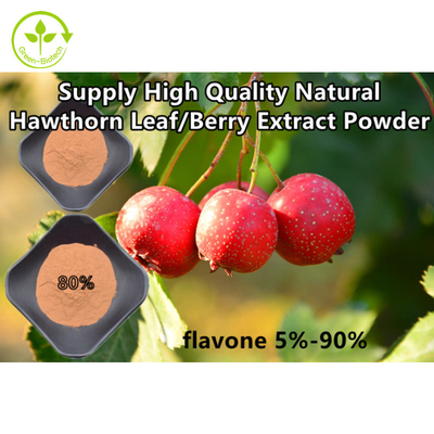 Het Poedercrataegus van haagdoornberry extract flavones 80% Bladuittreksel