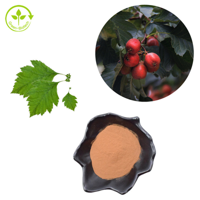 Het Poedercrataegus van haagdoornberry extract flavones 80% Bladuittreksel