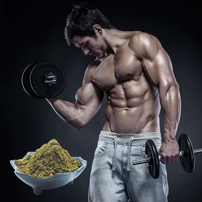 Het zuivere Gebruik van het het Uittreksel2% 10% Turkesterone Poeder van Ajuga Turkestanica voor Bodybuilding