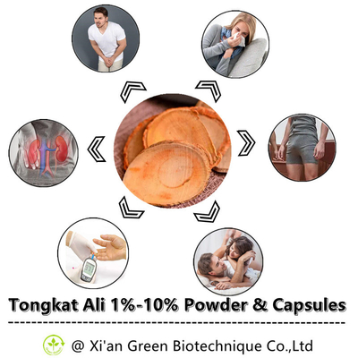 Koop In het groot Bulk100% Zuivere Tongkat Ali Root Extract Powder 1%