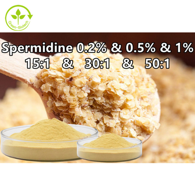 Van het het Sperminepoeder van het tarwekiemuittreksel het Voedselsupplement Spermidine 0,1% 0,5% 1%