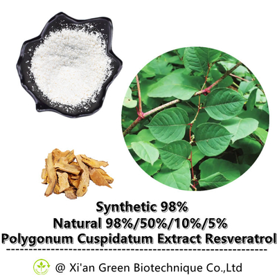 Van het Poederpolygonum Cuspidatum van 99% trans-Resveratrol de Worteluittreksel