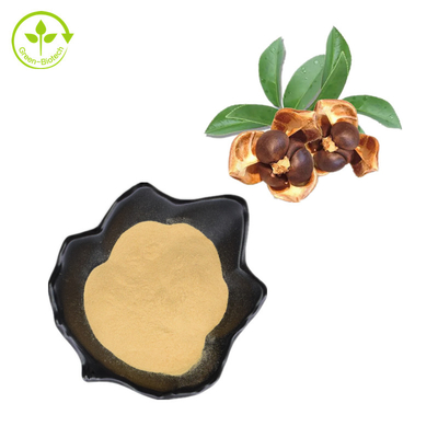 100% het natuurlijke Poeder van de Theesaponienen van Camellia Seed Extract 95%